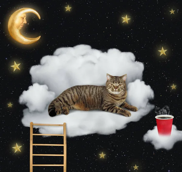 Śmieszne Kot Leży Chmurze Takich Jak Sofa Filiżankę Kawy Jest — Zdjęcie stockowe