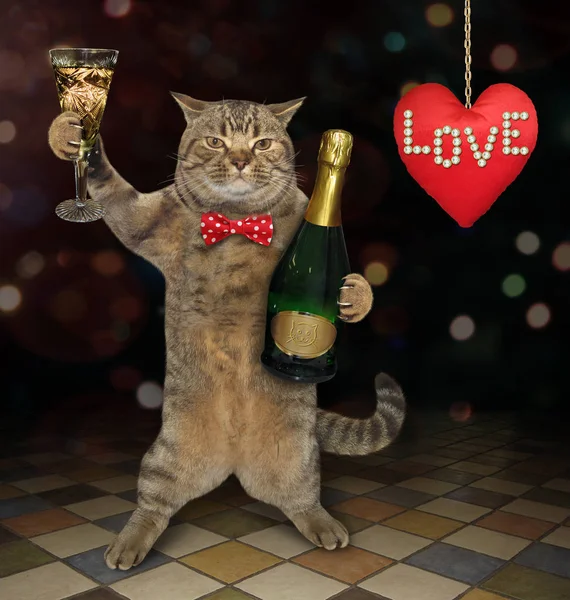The funny cat with a glass of champagne is making a toast at the party. A big red heart is next to it. Love.