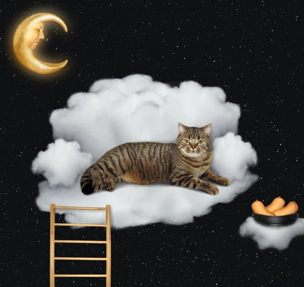 Śmieszne Kot Leży Chmurze Takich Jak Sofa Miski Kiełbasy Jest — Zdjęcie stockowe