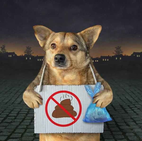 Kříženec Psa Plastovým Vakem Plakát Žádný Pes Pooping Visí Kolem — Stock fotografie