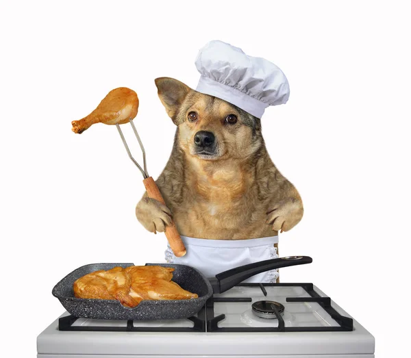 The dog chef is cooking a chicken in a square grill pan on a gas stove. White background.