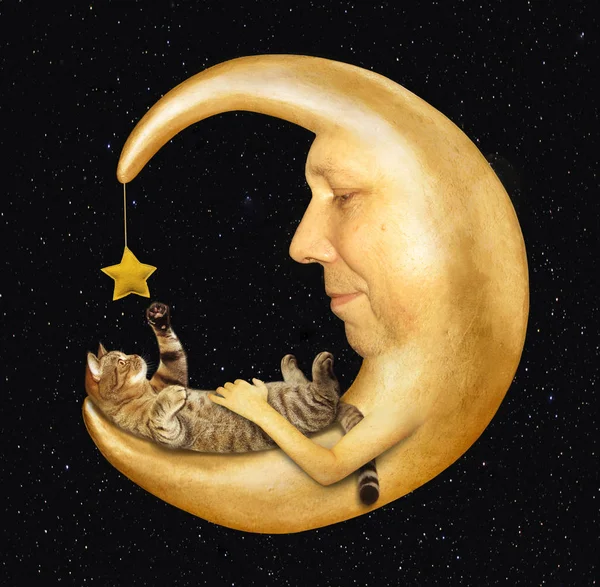 Śmieszne Kot Leży Gra Gwiazdą Księżycu Noc Tle Nieba — Zdjęcie stockowe