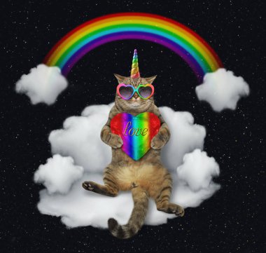 Güneş gözlüklü bir renk kalp kedi tek boynuzlu at üstünde belgili tanımlık bulut bir kanepe gibi oturuyor. Gökkuşağı onun arkasında olduğunu. Yıldızlar arka plan.