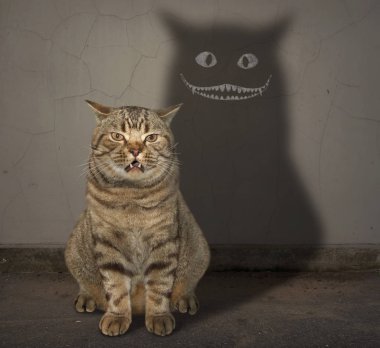 Komik kedi bir gölge bir kırık beton duvar üzerinde döküm. Bu gölge korkunç bir gülümseme vardır.