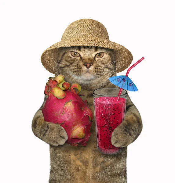 Funny Cat Straw Hat Holds Pitahaya Glass Fresh Juice White Stock Image