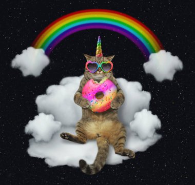 Güneş gözlüklü bir renk poğaça ile kedi tek boynuzlu at üstünde belgili tanımlık bulut bir kanepe gibi oturuyor. Gökkuşağı onun arkasında olduğunu. Yıldızlar arka plan.