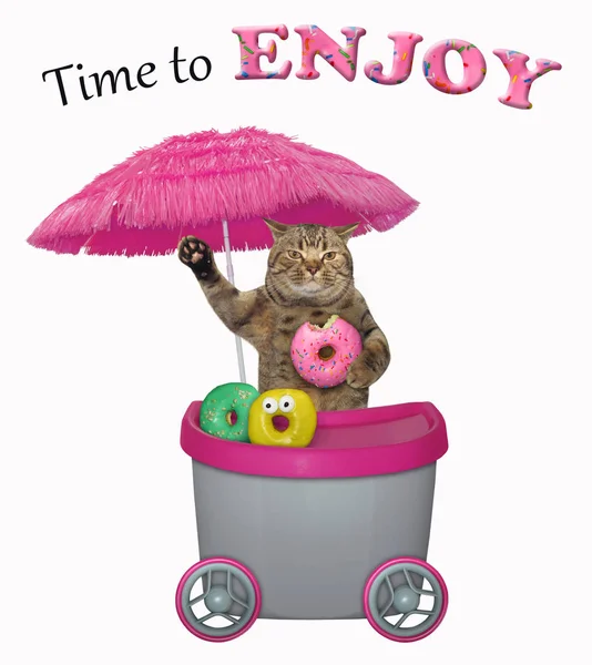 Funny Cat Selling Donuts Mini Movable Pink Cart Time Enjoy — Stock Photo, Image
