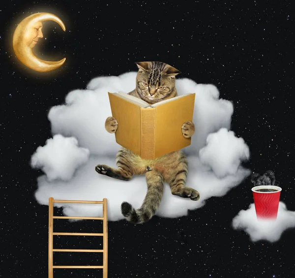 Gato Engraçado Está Lendo Livro Nuvem Como Divã Fundo Estrelas — Fotografia de Stock