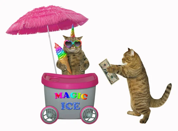 猫ユニコーン キオスク 2 でアイスクリームを販売しています — ストック写真