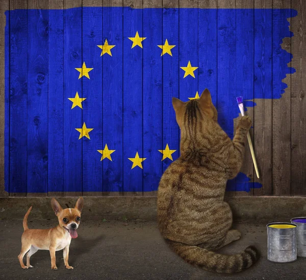 Cat draws the european flag