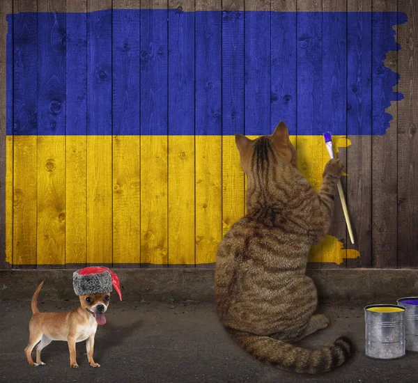 Gato desenha a bandeira ucraniana — Fotografia de Stock