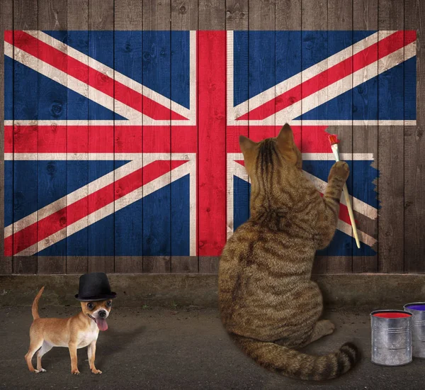 Кот рисует флаг британской гравитации — стоковое фото