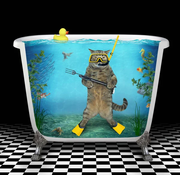 バスタブで水中猫ダイバー — ストック写真