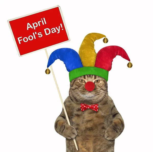 Cat in a jester hat with a poster — Stock Photo, Image