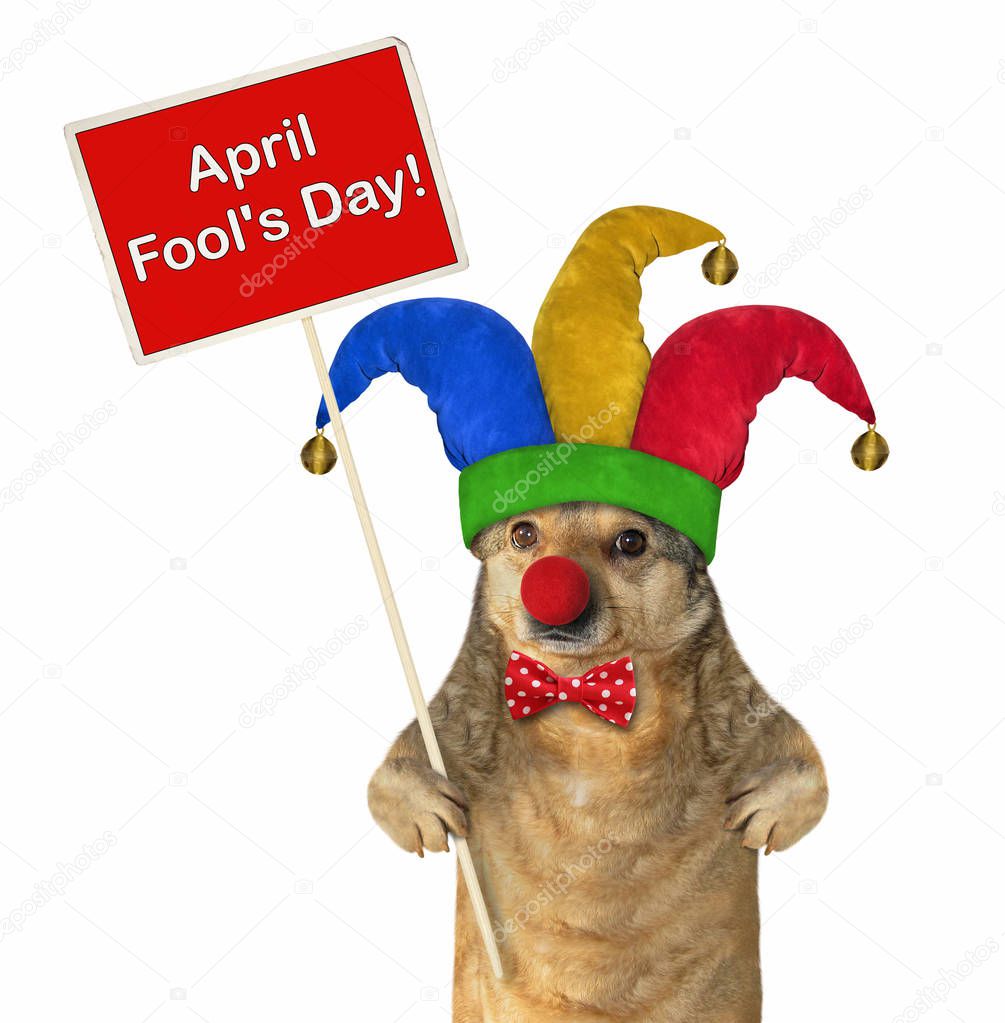 Dog in a jester hat with a poster