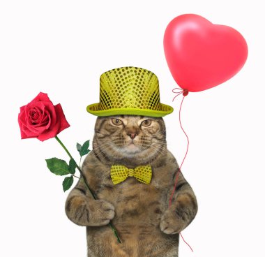 Kedi trendy bir gül ve balon