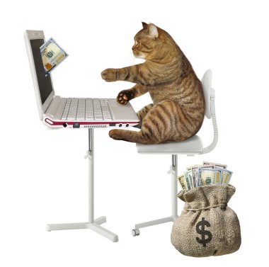 Cat earns money on the computer 2 clipart