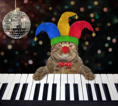 Bir soytarı şapkalı kedi piyano çalıyor