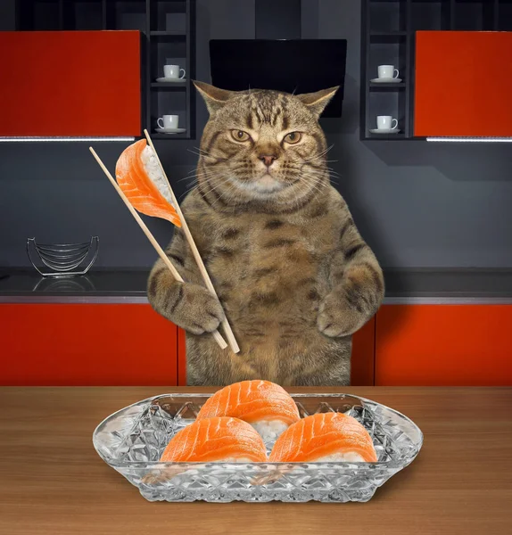 Katze isst Sushi in der Küche — Stockfoto