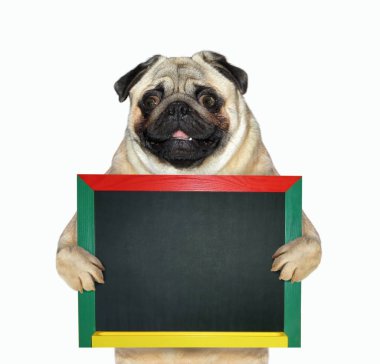 Boş bir tahta tutan köpek 2