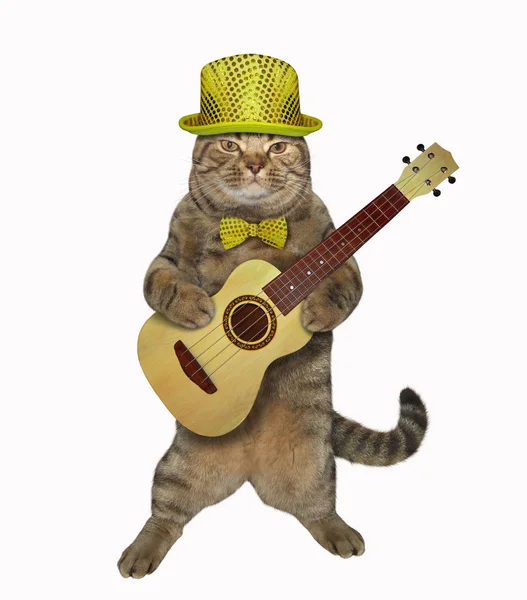 Η γάτα παίζει την κιθάρα — Φωτογραφία Αρχείου