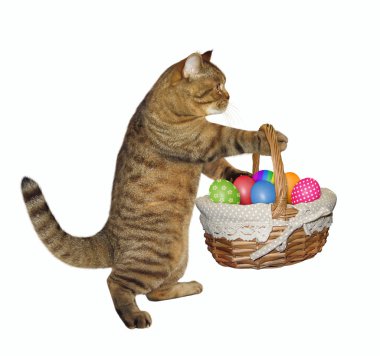 Kedi Paskalya yumurtası sepeti tutar