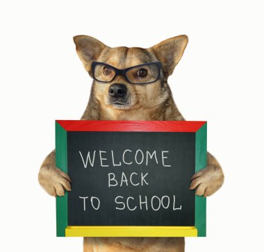 Köpek öğretmeni küçük bir tahta 2 tutar