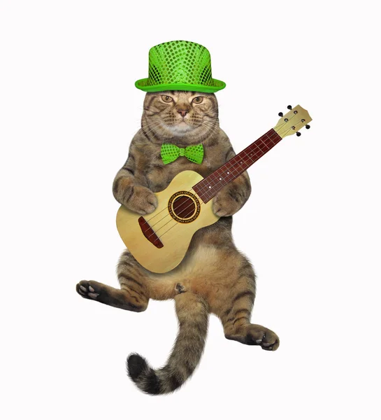Cat tocando la guitarra 2 —  Fotos de Stock