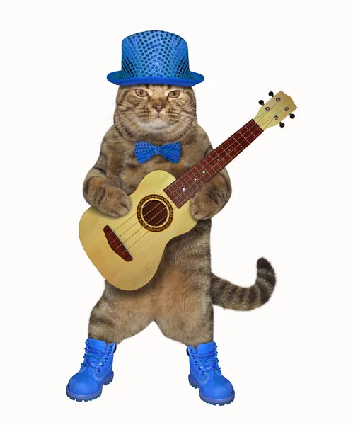 Cat suona la chitarra in blu — Foto Stock