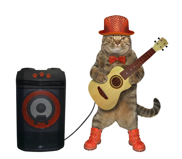 Кіт грає на гітарі біля спікера — стокове фото