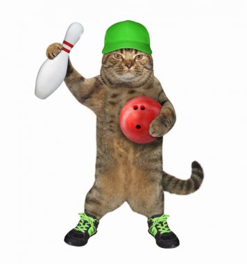Bir bowling topu 3 ile ayakkabı kedi