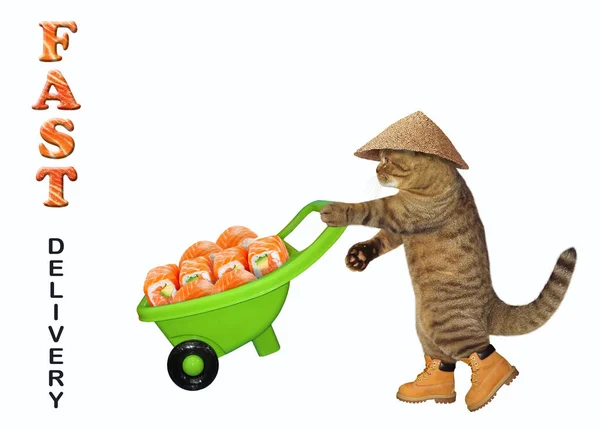 Katze liefert Sushi per Schubkarre — Stockfoto