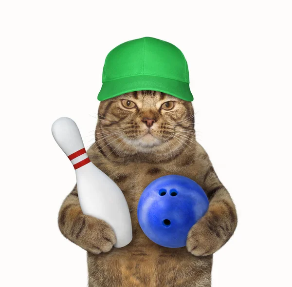 Il gatto in un berretto gioca a bowling 2 — Foto Stock