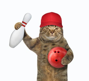Şapkalı kedi bowling oynuyor 3
