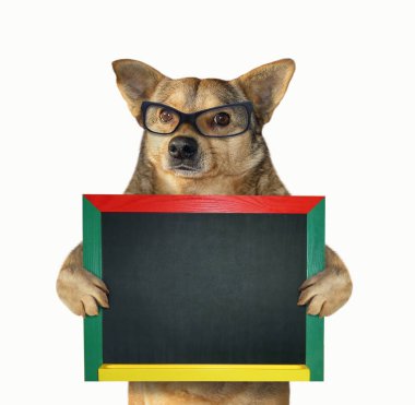 Boş bir tahta tutan köpek