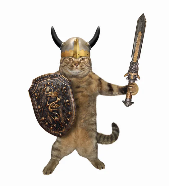 Gato viking com uma grande espada — Fotografia de Stock