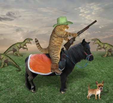 Silahlı kedi ejderhaları sıyırıyor