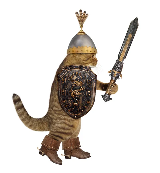 Cat in boots with a big sword — Stock Photo, Image