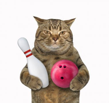 Bowling topu ve iğneli kedi