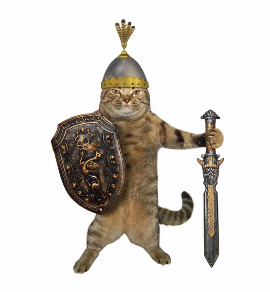 Cat warrior with a big sword 2 — Stock Photo, Image