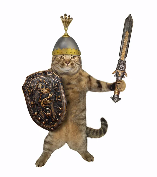 Guerreiro gato com uma espada grande 3 — Fotografia de Stock