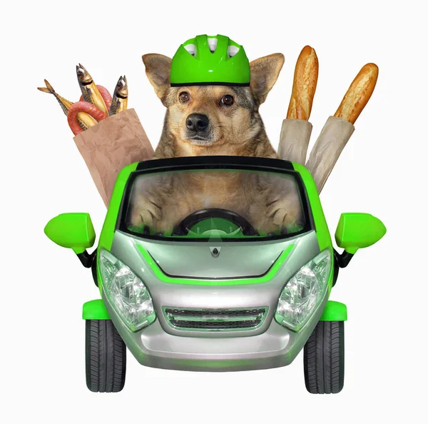 Cão em um carro verde com comida — Fotografia de Stock