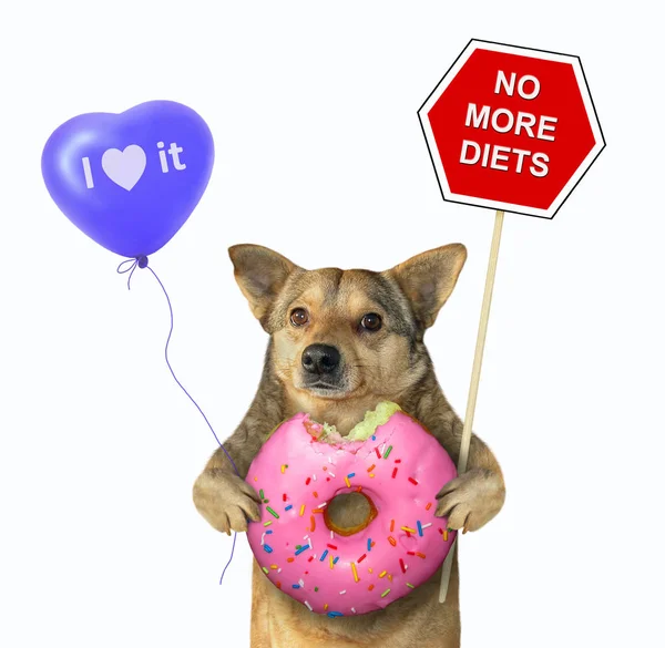 Σκύλος με ένα σημάδι και ένα ροζ ντόνατ 2 — Φωτογραφία Αρχείου