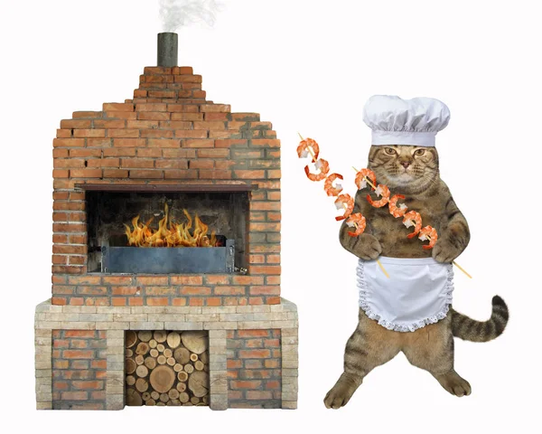 Gato com camarão na churrasqueira 2 — Fotografia de Stock