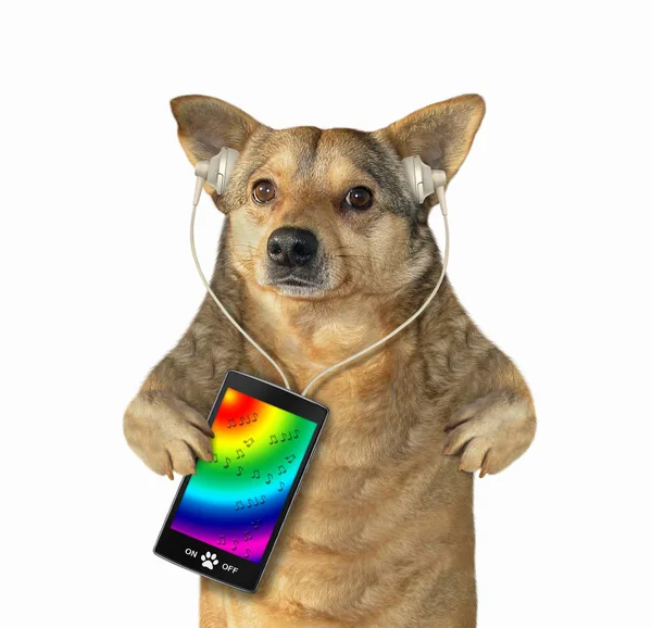 Pes se sluchátky poslouchá hudbu — Stock fotografie