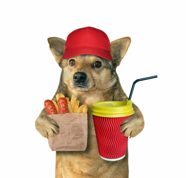 Sosis ve kızarmış patates ile Köpek — Stok fotoğraf