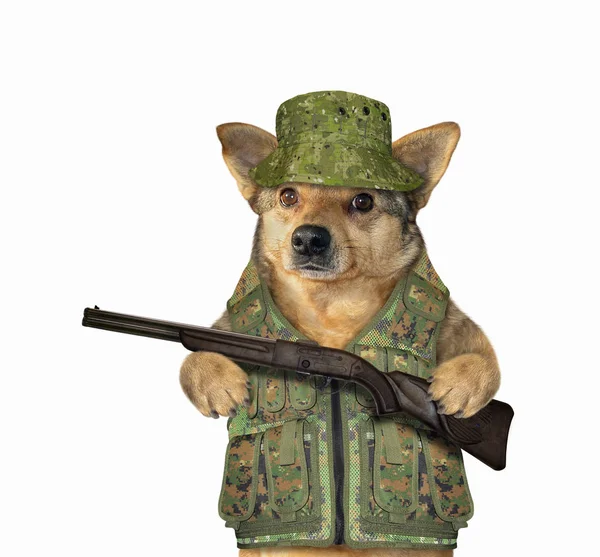 Ranger chien avec un fusil — Photo