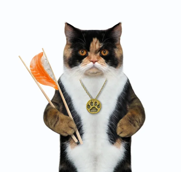 Gato comiendo sushi con palillos — Foto de Stock