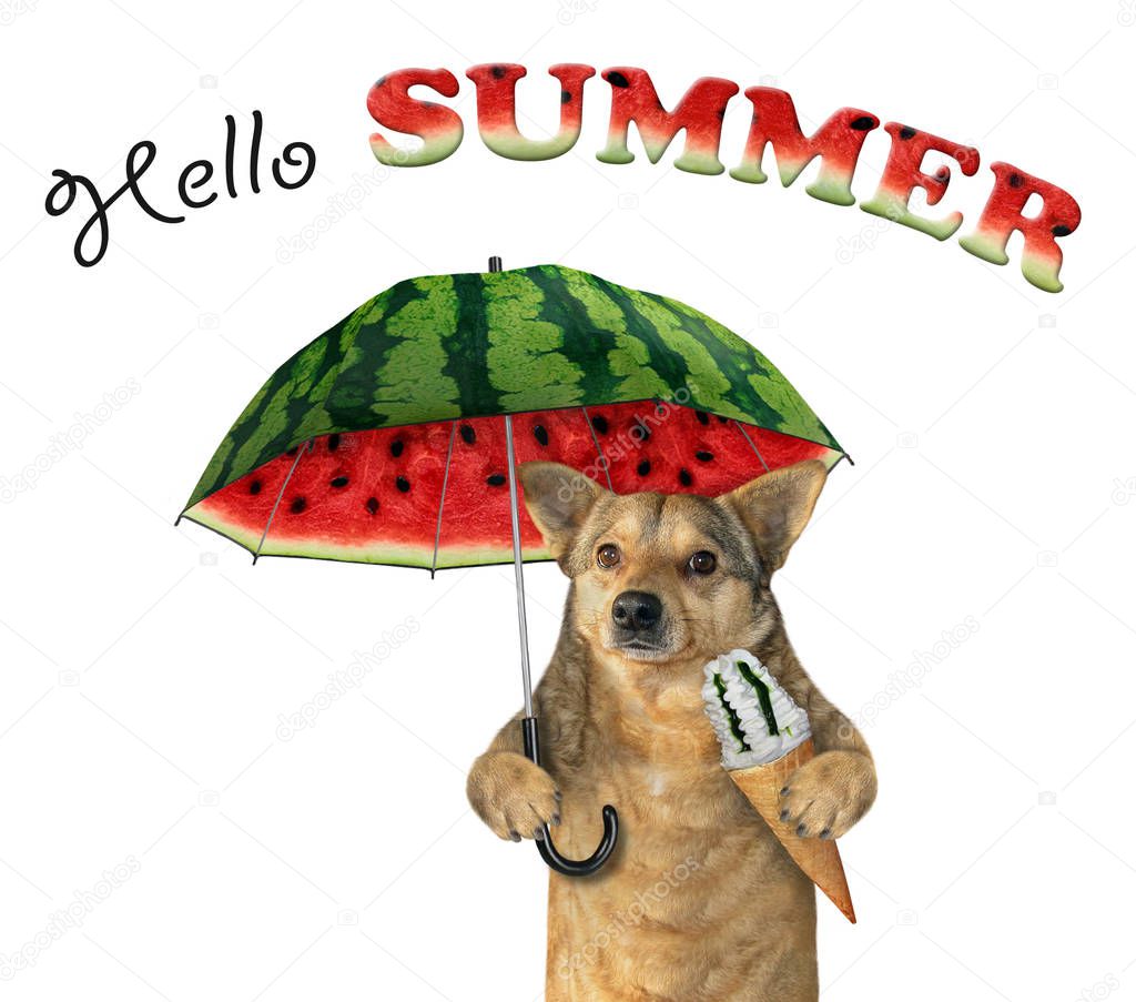 Dog with ice cream and a melon umbrella