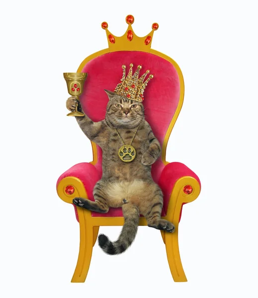 Kočičí král s šálkem na trůně — Stock fotografie